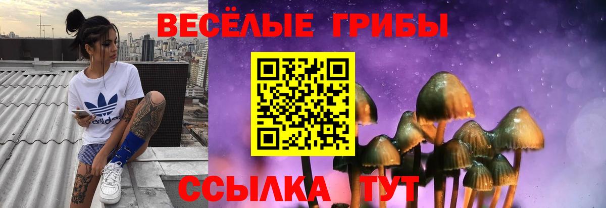 Железногорск  Псилоцибиновые грибы Psilocybe  Вход с VPN 