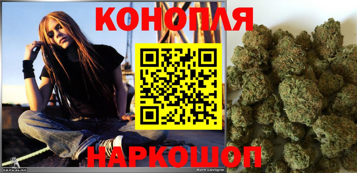 Конопля план Железногорск